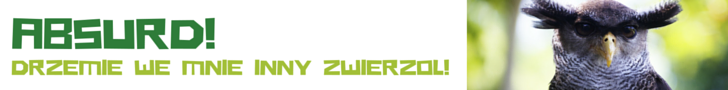 Zobacz inne zwierzaki!